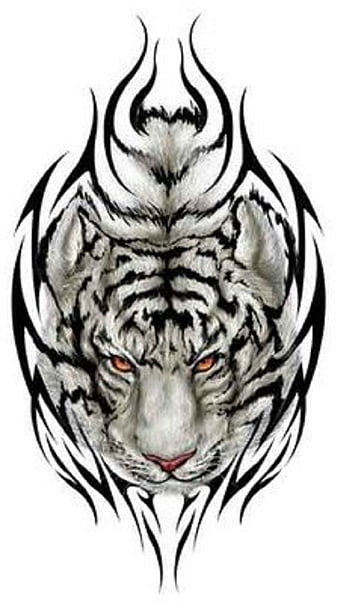 Tiger Tattoo on Behance