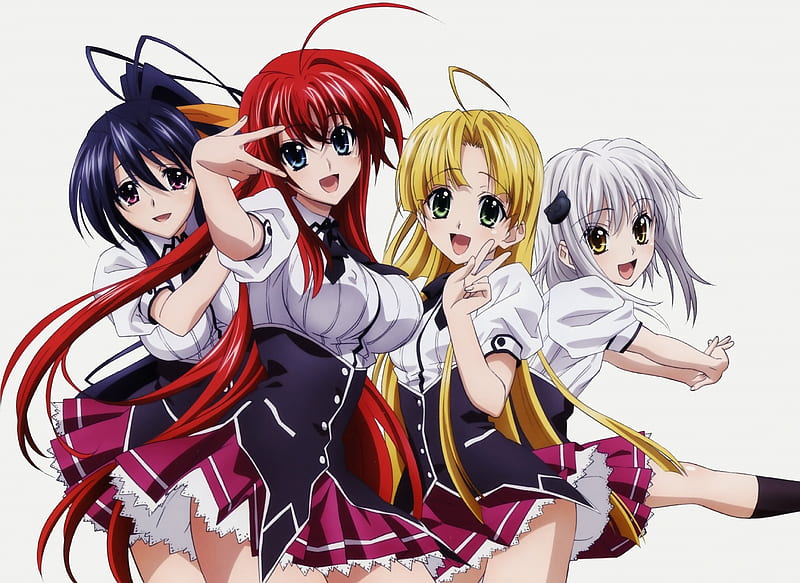 Download High School DxD Characters Wallpaper