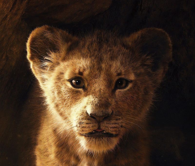 Lion, Movie, Simba, The Lion King (2019), HD wallpaper
