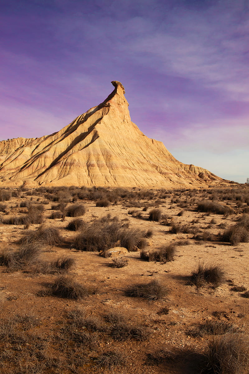 rock, desert, vegetation, rock formations, bardenas reales, spain, HD phone wallpaper