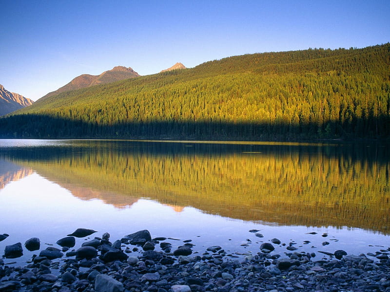 Parque nacional de Montana, arvores, lago, montana, montanhas, ceu, HD wallpaper