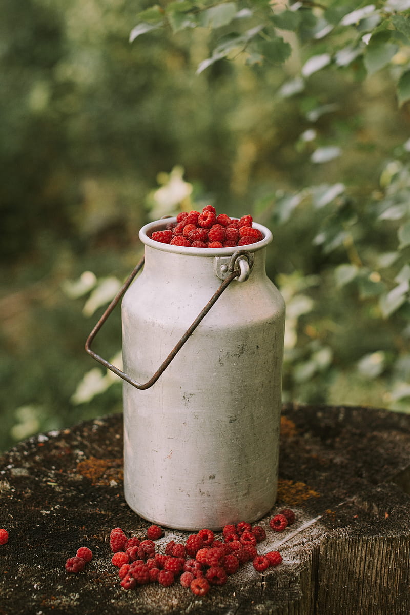 raspberries, berries, can, harvest, HD phone wallpaper