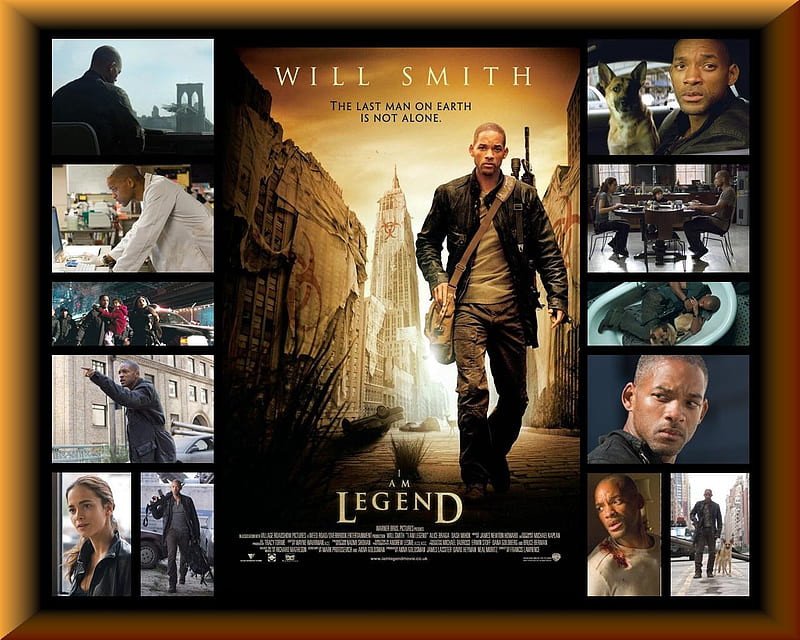 I Am Legend 2007, movie, smith, film, films, i, am, sci fi, legend, movies,  will, HD wallpaper | Peakpx