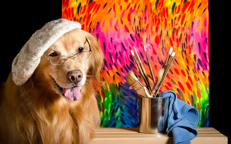 Golden retriever, funny dog, artist, paints, cute animals, labrador, dogs,  HD wallpaper | Peakpx