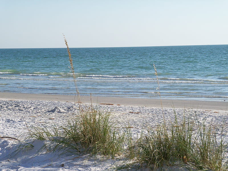 ~Indian Rocks Beach~St. Pete, Florida~, beach, indian rocks beach, sand, ocean, nature, bonito, seagrass, sea, HD wallpaper