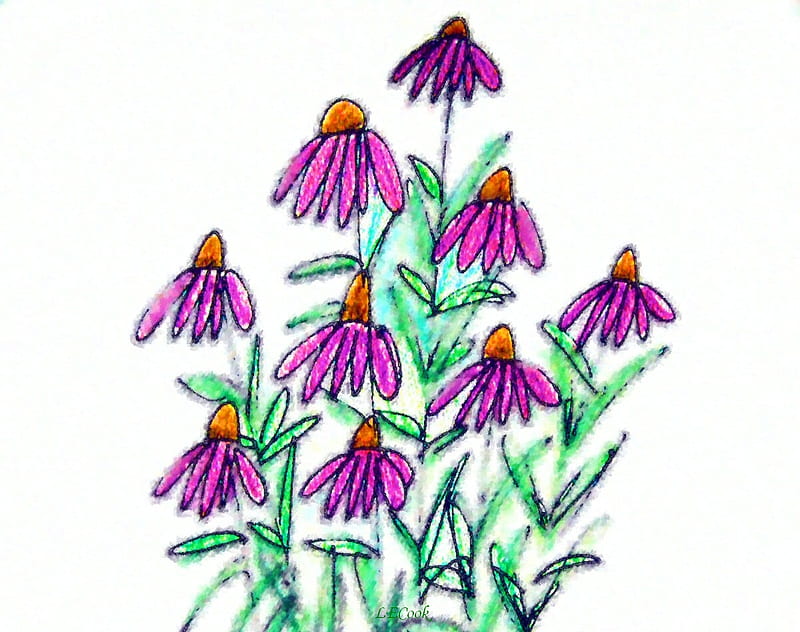purple coneflowers, art, drawing, nature, floral, HD wallpaper