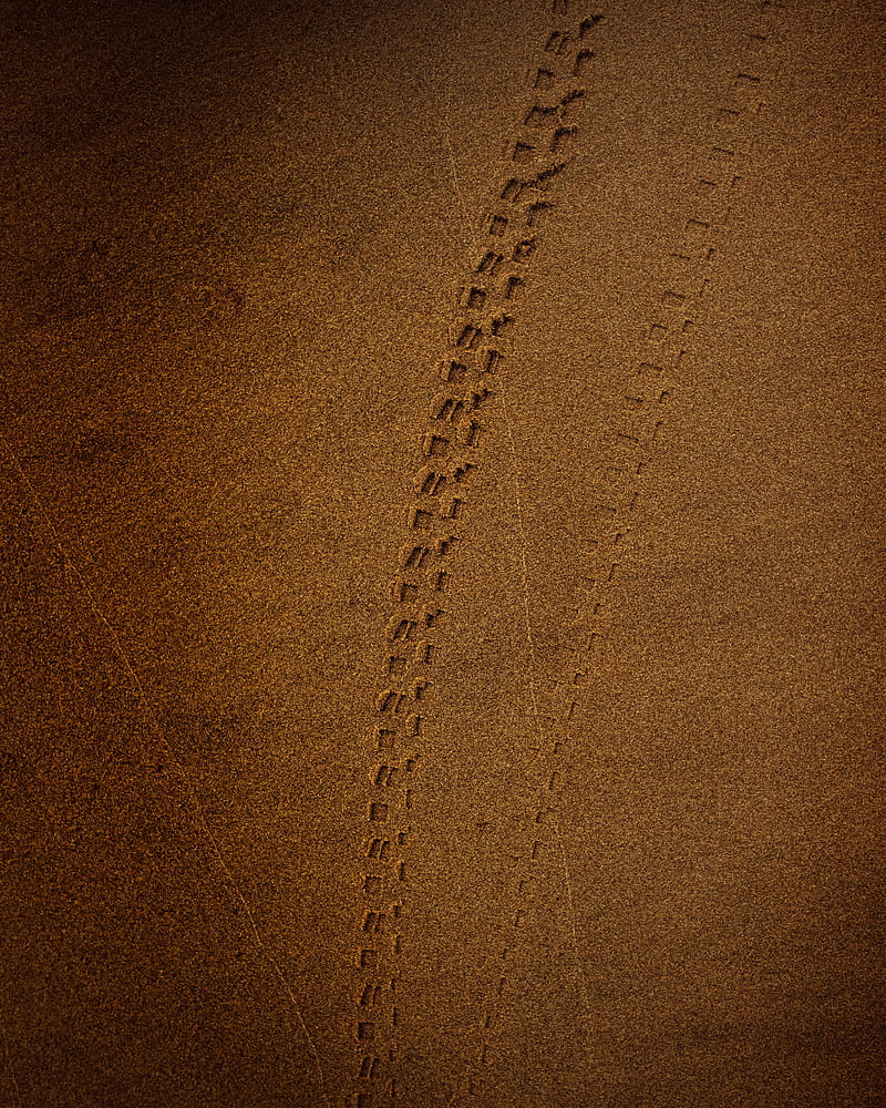 trace, sand, brown, HD phone wallpaper