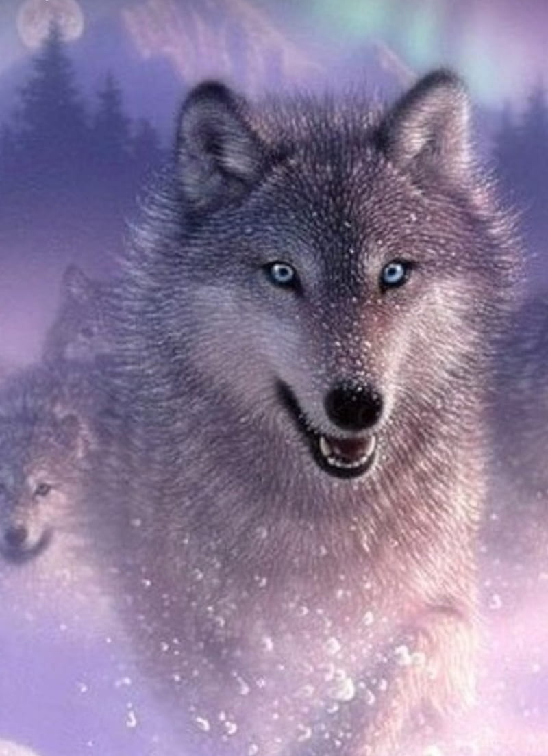 Wolf, light purple, running, HD phone wallpaper