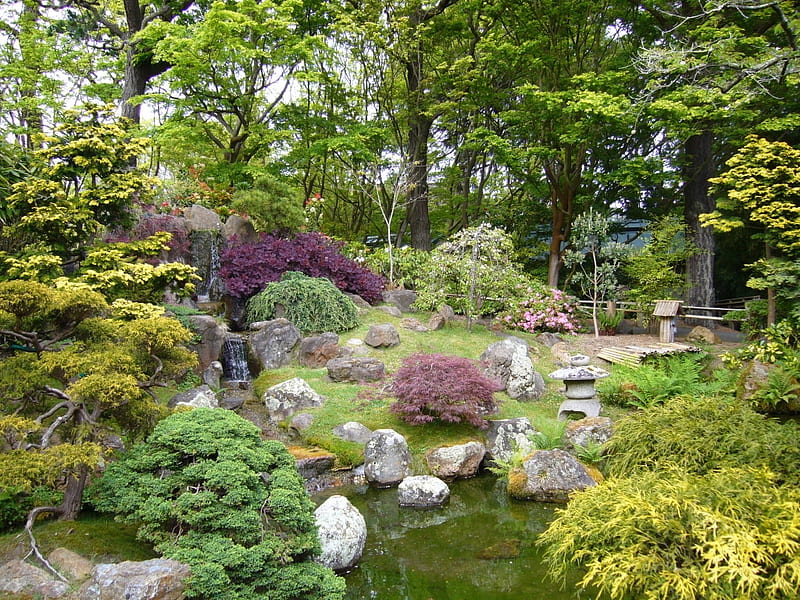 Japanese garden, garden, Japanese, nature, graphy, HD wallpaper Japanese garden, garden, Japanese, nature, graphy, HD wallpaper