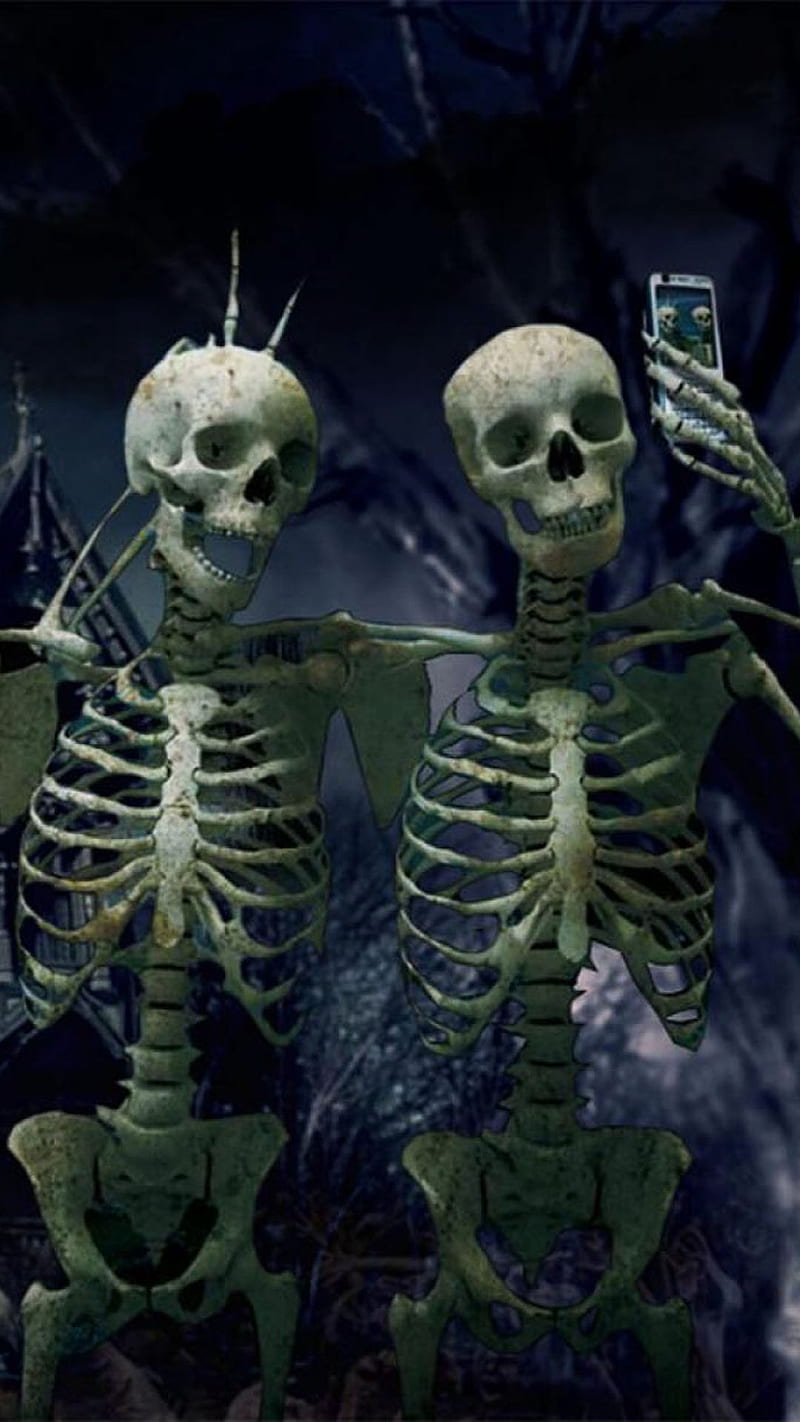 funny skeletons, camera, friends, phone, selfie, skeleton, HD phone wallpaper