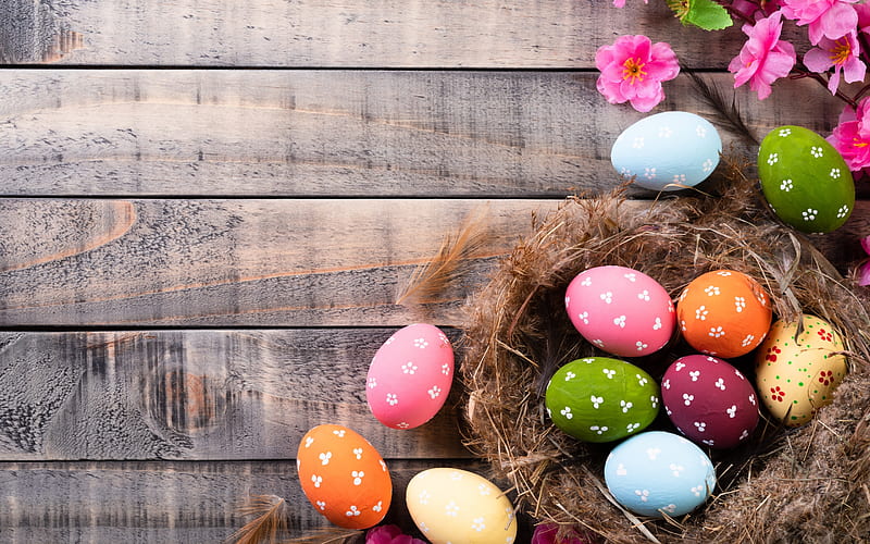 Happy Easter!, flower, easter, wood, colorful, brown, orange, egg, dot, nest, green, pink, blue, HD wallpaper