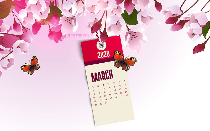 2020 March Calendar, pink spring background, pink spring flowers, 2020 spring calendars, March, spring flowering, March 2020 Calendar, HD wallpaper