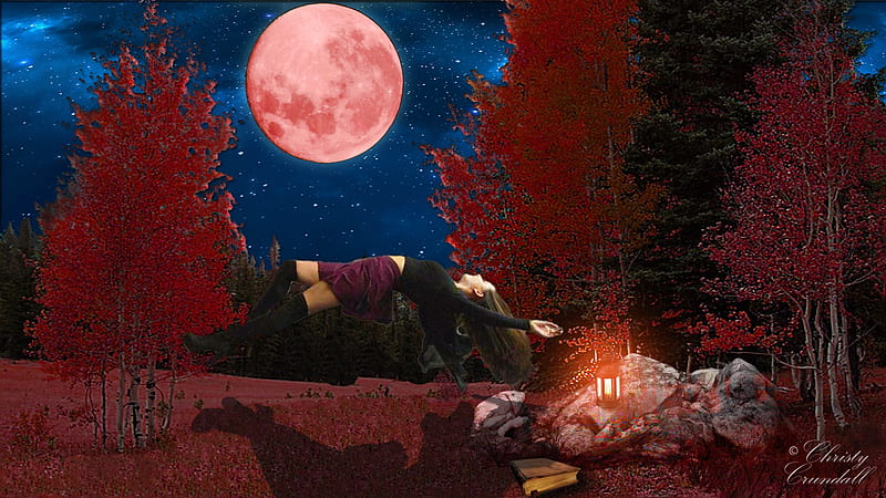 Forest Project, shop, Red Moon, Floating, Night, HD wallpaper