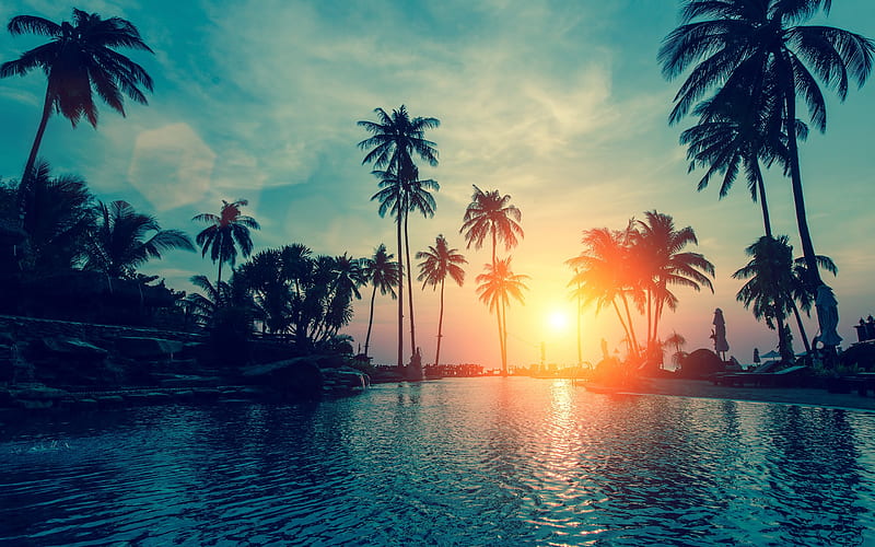 tropics, resort, sunset, summer, swimming pool, HD wallpaper