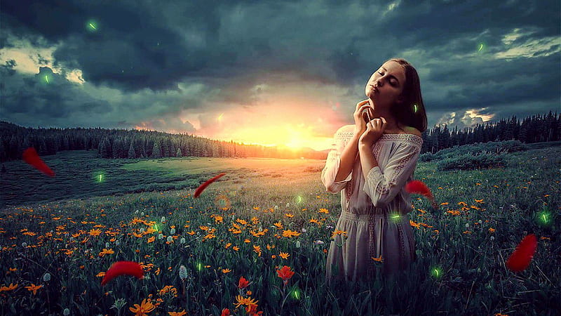 The girl on the field, flowers, sun, nature, sky, sunrise, HD wallpaper ...