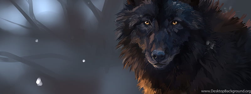Wolf Background, Dual Monitor Wolf, HD wallpaper