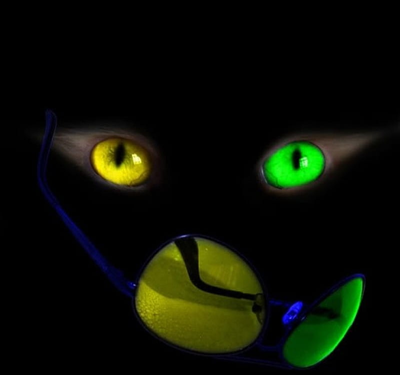 Cateyes Colour, green, black, yellow, cat, eyes, HD wallpaper