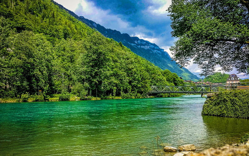 Switzerland, mountains, lake, forest, beautiful nature, Europe, swiss nature, HD wallpaper