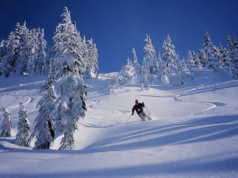 Swoosh, hills, sport, skier, snow, trees, winter, HD wallpaper