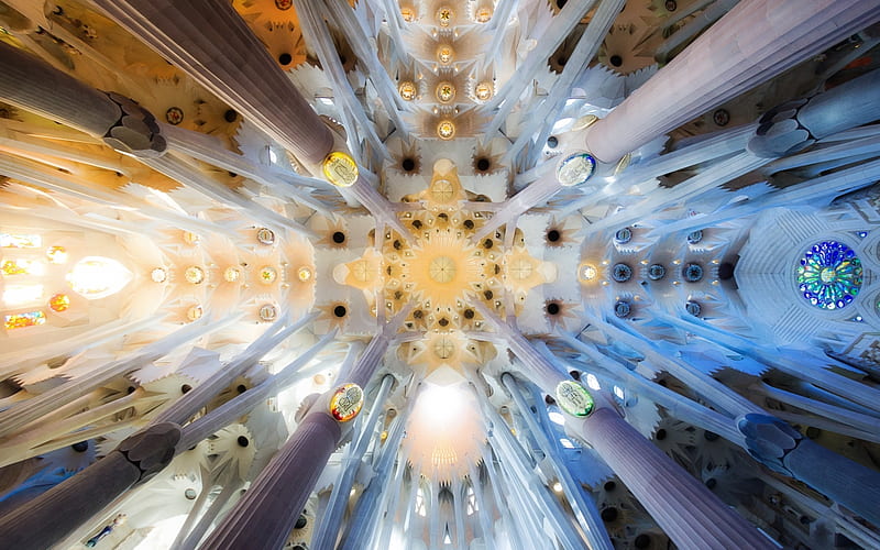 Cathedral in Barcelona, Spain, Spain, church, ceiling, cathedral, La Sagrada Familia, Barcelona, HD wallpaper