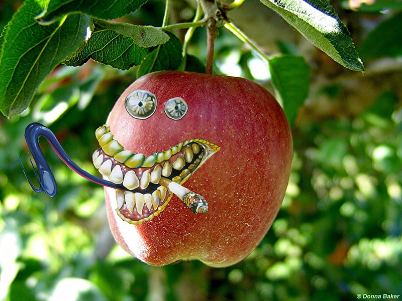 Crazy Apple, apple, fruit, tree, crazy, smoke, hang, tongue, teeth, HD wallpaper