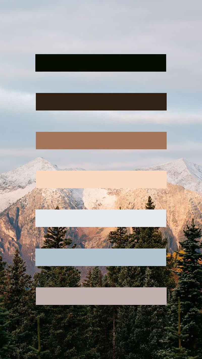 Palette, Color Palette, HD phone wallpaper