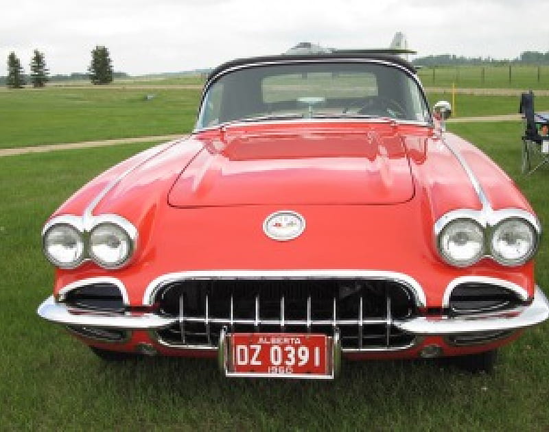 1960 Chevrolet corvette, red, Chevrolet, corvette, grass, headlights, trees, nickel, graphy, green, HD wallpaper