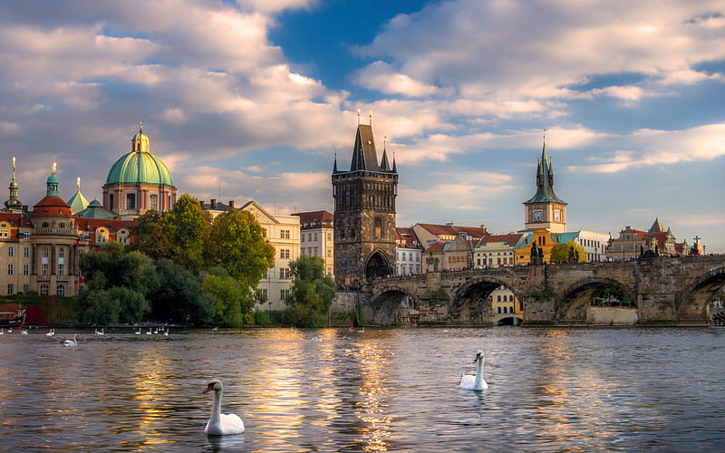 Prague, Vltava river, sunset, stone old bridge, swans, Prague cityscape, Czech Republic, HD wallpaper