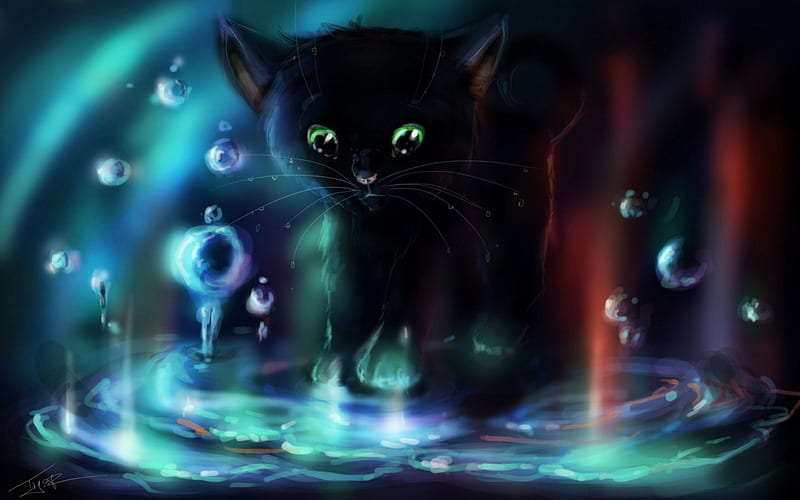 Cat in 3D, bubbles, black, 3d, cat, HD wallpaper | Peakpx