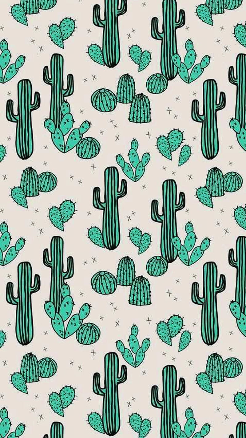 Cactus Wallpapers  Wallpaper Cave
