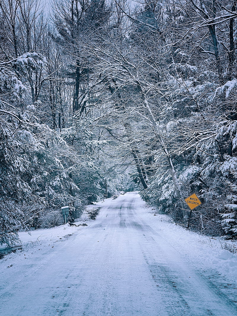 road, trees, snow, winter, white, HD phone wallpaper