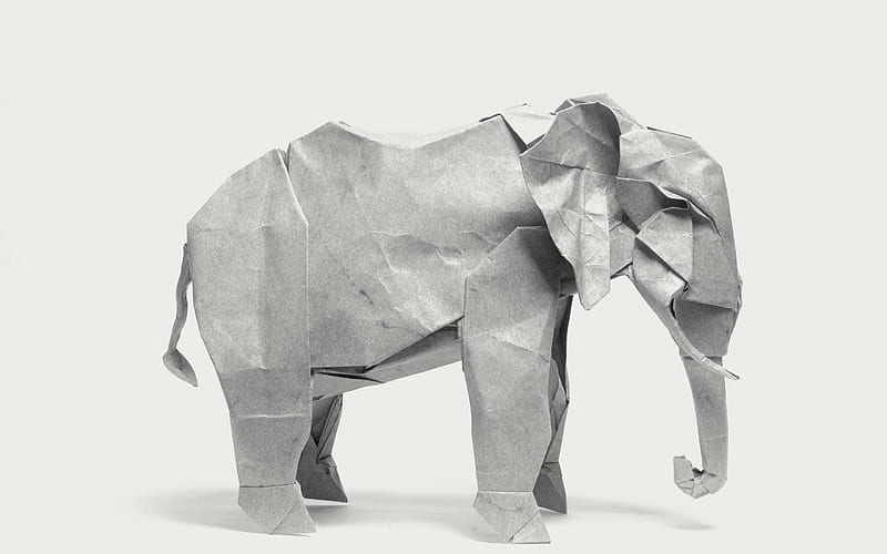 elephant, origami, paper elephant, paper animal, HD wallpaper