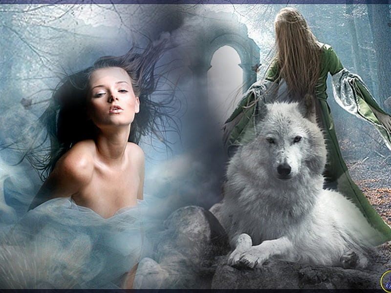 El lobo blanco, chicas, fantasía, lobo, dama, Fondo de pantalla HD | Peakpx