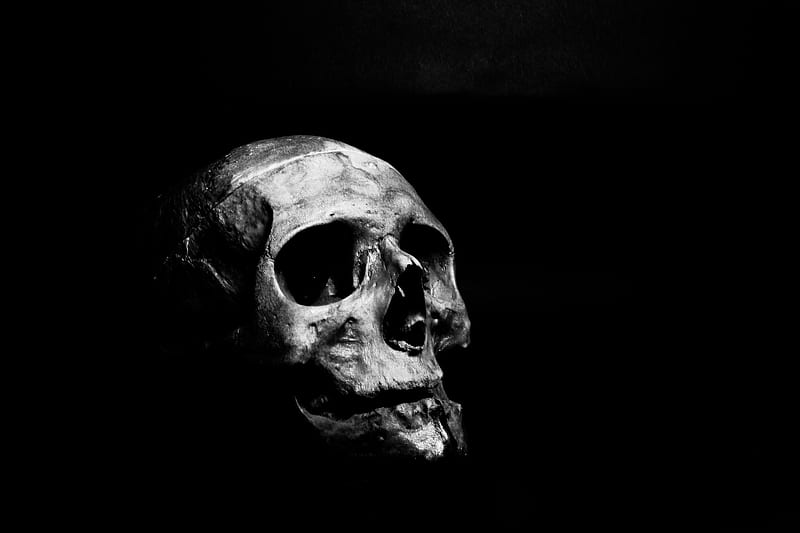 Grayscale graphy of Human Skull, HD wallpaper