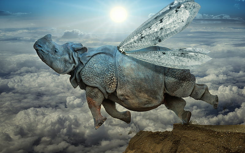 clouds, mountains, dawn, winged rhino, HD wallpaper