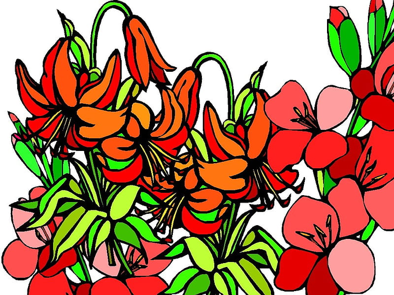 Glads & Lilies, red, orange, green, flowers, desenho, white, pink, HD wallpaper