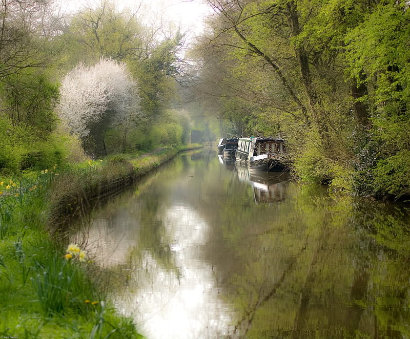 CANAL IN THE SPRING, leaves, bloom, time, spring, trees, HD wallpaper