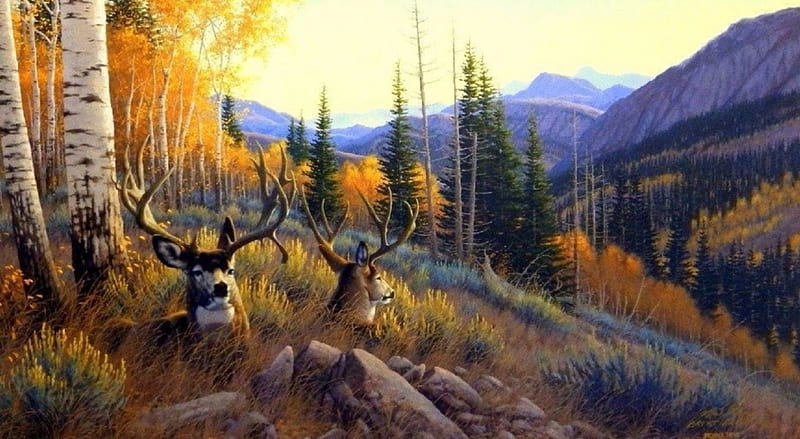 Summer Mule Deer, paintings, draw and paint, summer, love four seasons, attractions in dreams, animals, deer, HD wallpaper