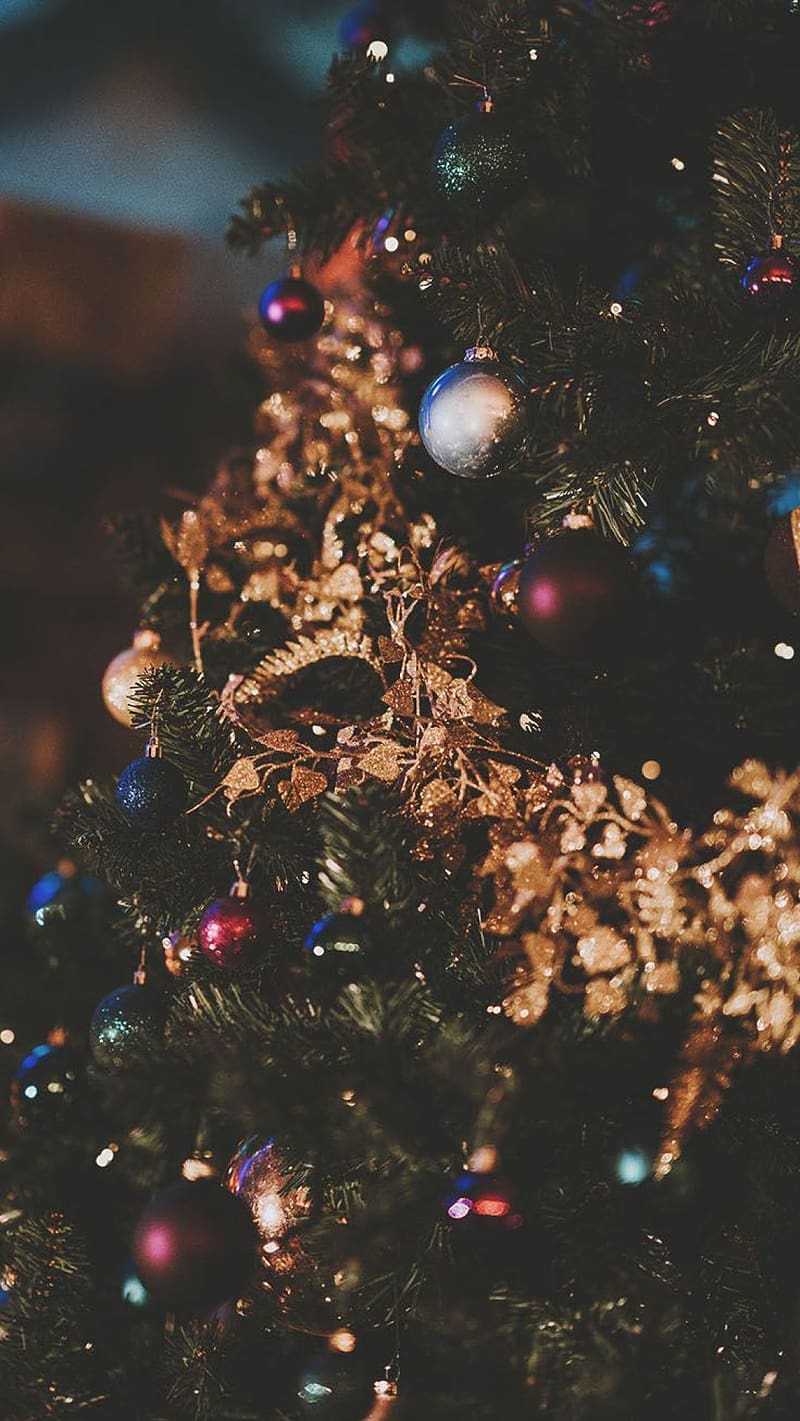 Hãy chào đón mùa giáng sinh đầy ma mị và tuyệt vời với một nền tảng Giáng sinh đầy màu sắc và lung linh. Chỉ cần nhìn vào hình nền Giáng sinh, bạn sẽ cảm thấy rực rỡ và phấn khích hơn bao giờ hết.