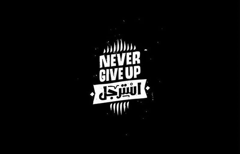 Never give up, arabic, funny, gamer, life, man, quotes, things, van, HD  wallpaper | Peakpx