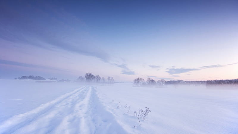 Winter field, sky, winter, snow, path, nature, way, road, field, scene, landscape, HD wallpaper