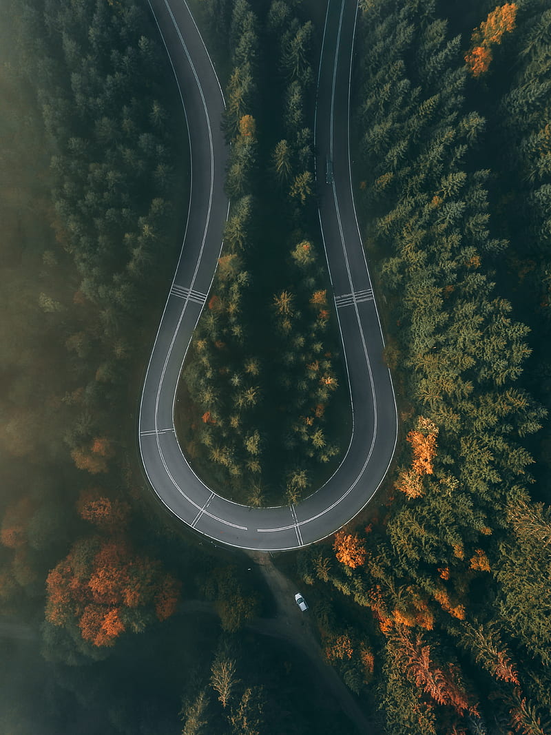 road, forest, aerial view, winding, turn, HD phone wallpaper