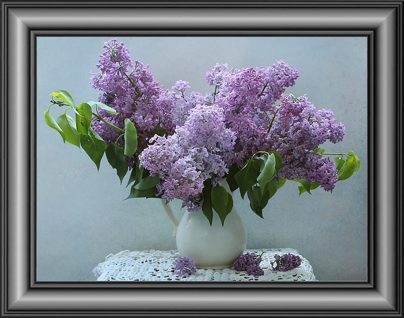 Hermosas lilas, flores, hermosas lilas, Fondo de pantalla HD | Peakpx