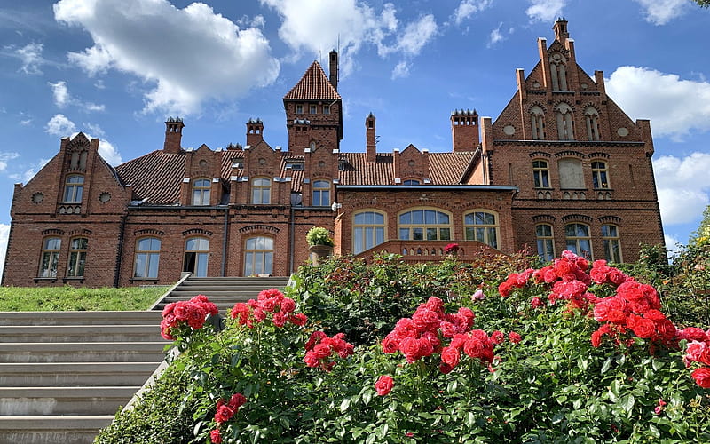 Palace Jaunmoku, Latvia, Latvia, flowers, clouds, palace, roses, HD wallpaper