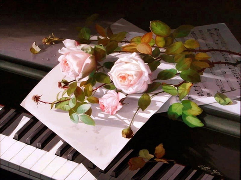 Pale Pink Rose & Piano, pale, rose, music, pink, piano, HD wallpaper