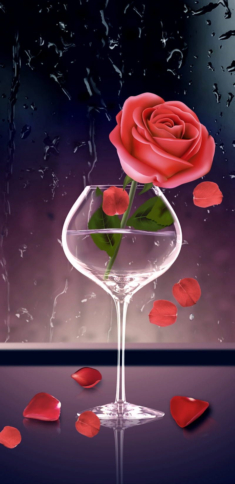 RoseInGlass, bonito, girly, glass, pettels, pink, pretty, rain, romance, rose, roses, HD phone wallpaper