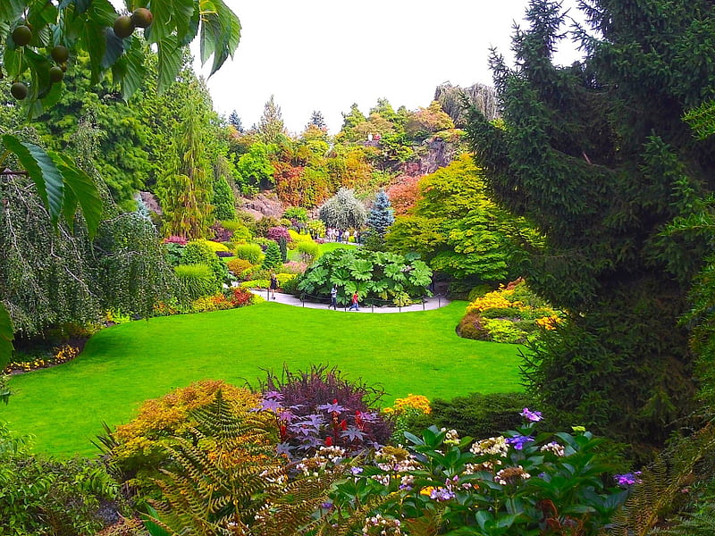 Queen Elizabeth Garden,Canada, grass, vancouver, trees, bushes, green, queen elizabeth, flowers, garden, nature, HD wallpaper