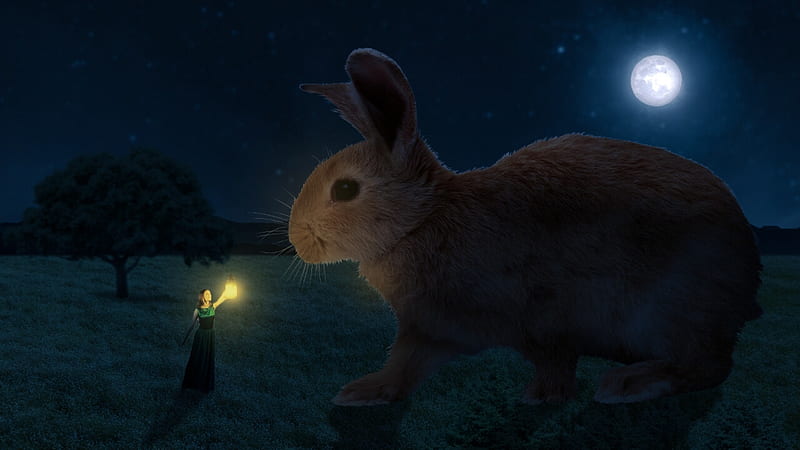 The giant bunny, bunny, giant, rabbit, lantern, moon, luminos, creative, animal, moon, fantasy, girl, dark, abhay parmar, HD wallpaper