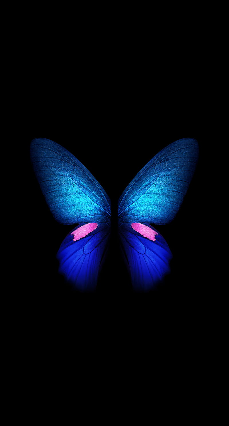 Galaxy Fold, butterfly, samsung, trending, HD phone wallpaper