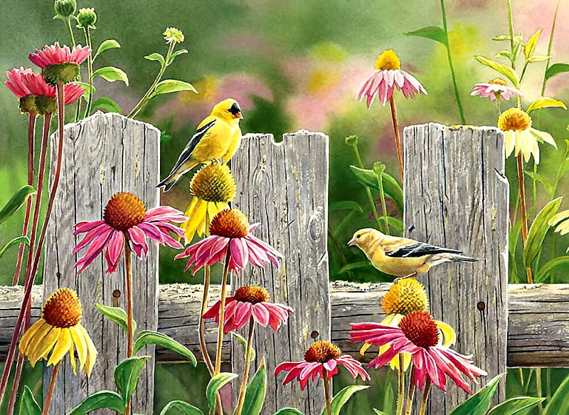 Pink and Gold - Goldfinches F1Cmp, art, coneflowers, songbirds, bonito, illustration, artwork, animal, goldfinches, bird, avian, painting, wide screen, wildlife, HD wallpaper